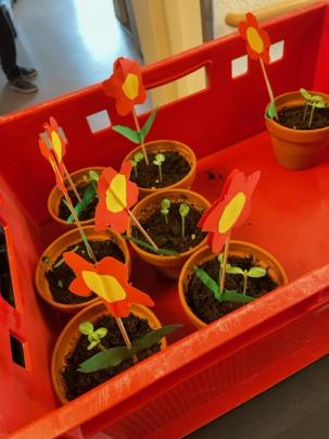 Projekte der Wingertsbergschule im Rahmen des städtischen Anreizprogrammes „Grüne Gartengestaltung“