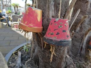 Projekte der Wingertsbergschule im Rahmen des städtischen Anreizprogrammes „Grüne Gartengestaltung“
