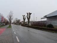 Bild entlang der Nibbelungenstraße