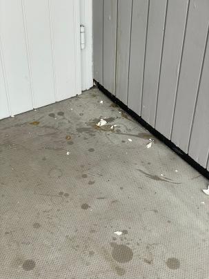 Verschmutzung am Jugendzentrum