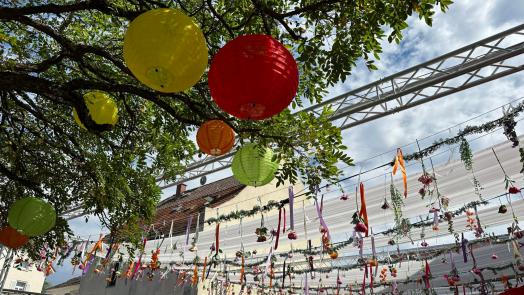 Bild vom Blütenhimmel