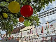 Bild vom Blütenhimmel