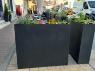 Pflanzkübel zu gewinnen