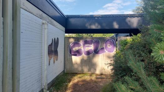 Bild der verschmirten Mauer