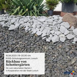 Das Bild zeigt einen Schottergarten