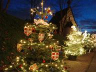 Vereinsbaum Laurissa