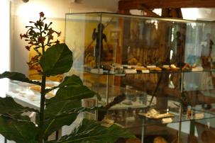 Die Tabakausstellung