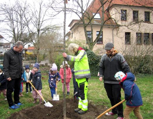 Kitakinder pflanzten einen Baum