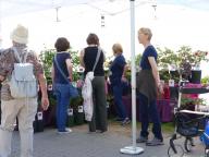 Bild vom Pfingstrosenstand am Frühlingsmarkt