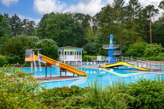 Blick über das Schwimmerbecken im Waldschwimmbad