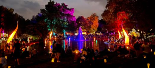 Birkengarten-Festival 2025: Illumination am Abend