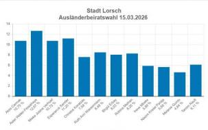 Diagramm Wahlergebnis Ausländereiratswahl