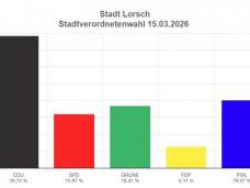 Diagramm Wahlergebnis Ausländereiratswahl