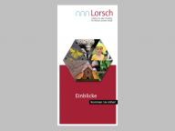 Einblicke: Kommen Sie näher!