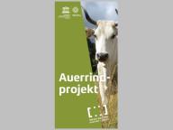 Auerrindprojekt