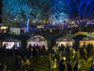 Blaues Weihnachtswunder auf der Klosterwiese
