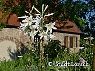 Welterbe Kräutergarten