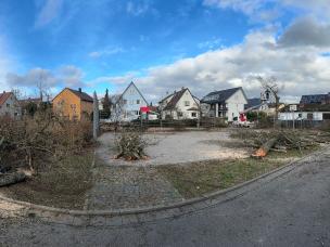 Baufeldfreimachung, Baumfällungen vor der Brut- und Setzzeitsperre